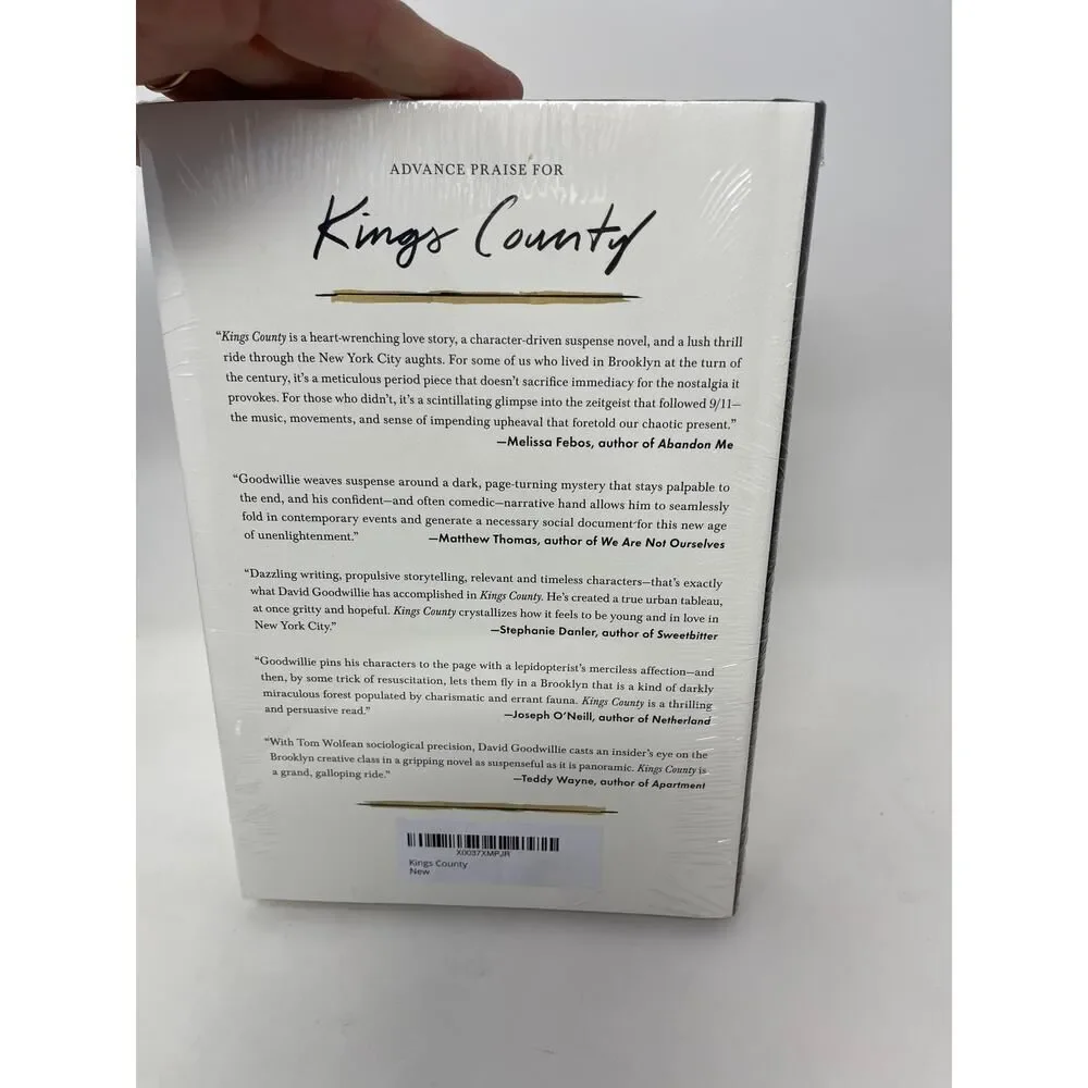 Kings County - A Novel by David Goodwillie - 2020 hardcover Dust New Love Story